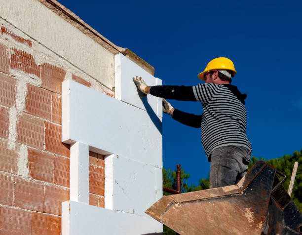 Best Geographic-Specific Insulation Services in Saticoy, CA